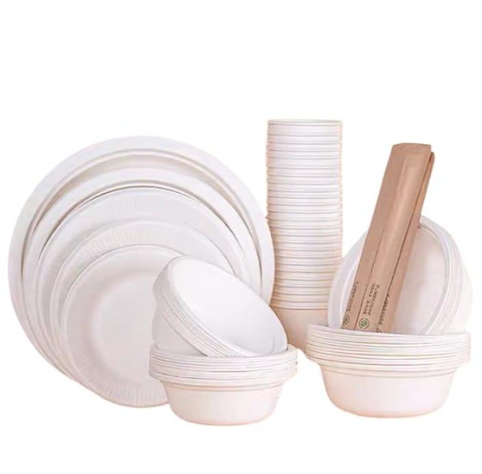 Disposable Tableware Set