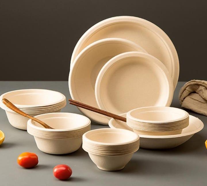 Bagasse Plates & Bowls Set