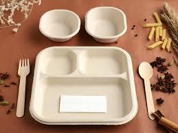 Bagasse Compartment Meal Tray