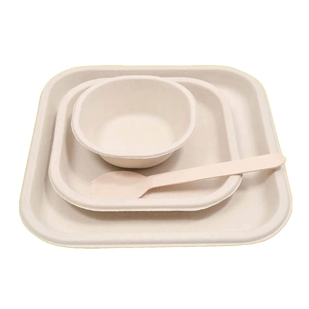 Bagasse Meal Set